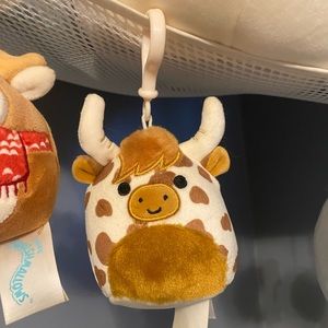 Alonzo squishmallow clip